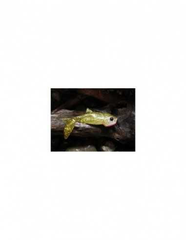 Shad Orka Gegule G7 GN, 7cm