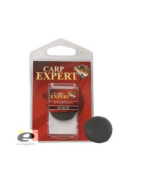 Pasta Plumb Carp Expert