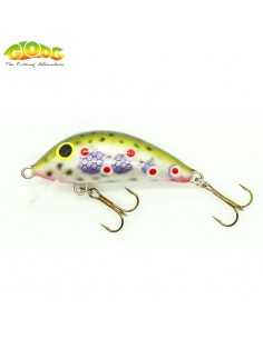 Vobler Gloog Hektor 40SR Floating, Culoare TR1, 4cm, 3.5g