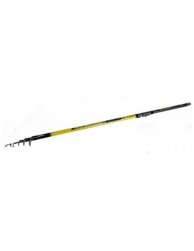 Lanseta Formax Force Power Bologneza, 4m, 5-20g