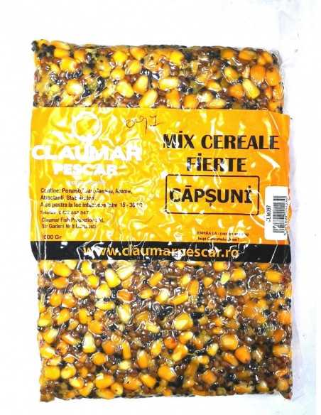 Mix Cereale Arrow, Capsuni, 1kg Mix Cereale Arrow, Capsuni, 1kg