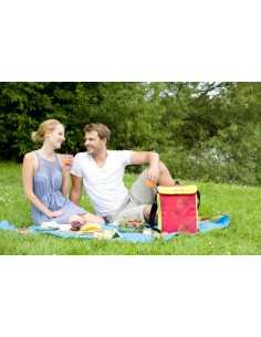 Geanta termoizolanta Campingaz MiniMaxi 19l Pink Daisy 2
