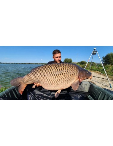 Boilies Solubil Bucovina Baits Competition X, 1kg