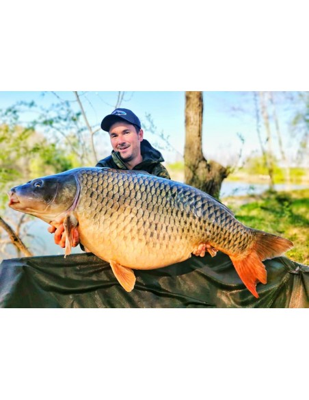 Dip Bucovina Baits Monster Trap Amino Dip Bucovina Baits Monster Trap Amino
