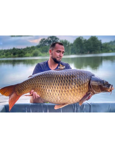 Pasta solubila Bucovina Baits Monster Trap, 400g