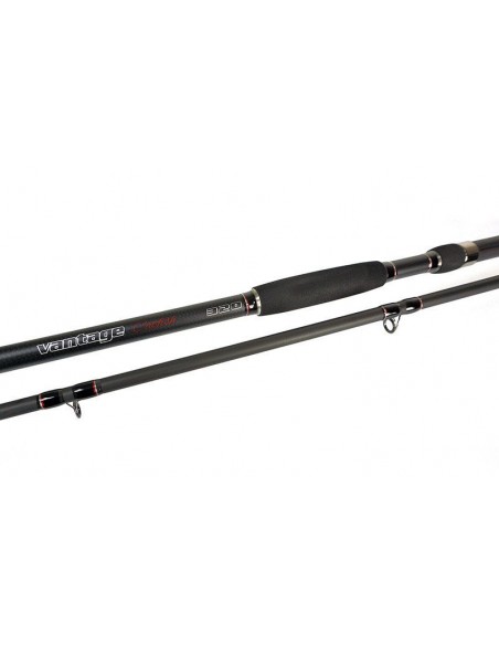 Lanseta Formax Vantage Catfish, 3.20m, 100-300gr, 2buc