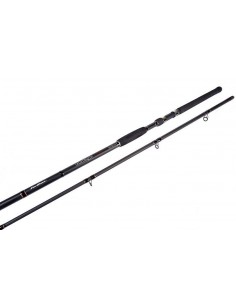 Lanseta Formax Vantage Catfish, 3.20m, 100-300gr, 2buc 2