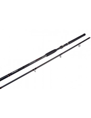 Lanseta Formax Vantage Catfish, 3.20m, 100-300gr, 2buc