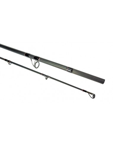 Lanseta Formax Vantage Catfish, 3.20m, 100-300gr, 2buc