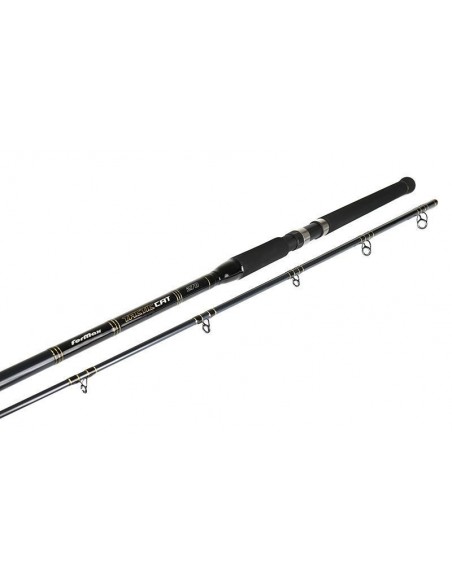 Lanseta Formax Tactic Cat, 2.70m, 100-300gr, 2buc Lanseta Formax Tactic Cat, 2.70m, 100-300gr, 2buc