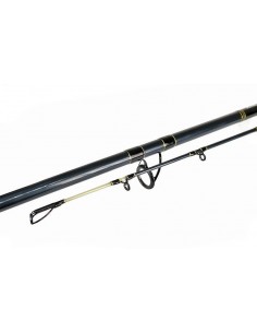 Lanseta Formax Tactic Cat, 2.70m, 100-300gr, 2buc 2