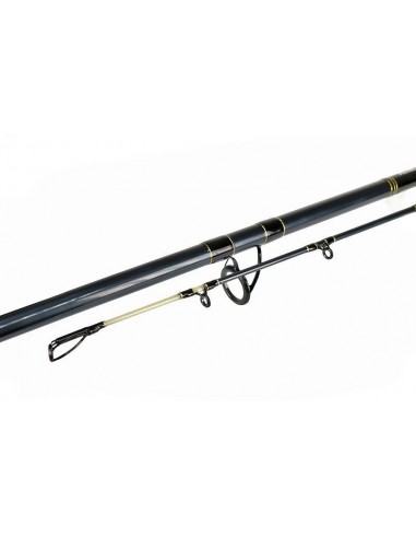 Lanseta Formax Tactic Cat, 2.70m, 100-300gr, 2buc