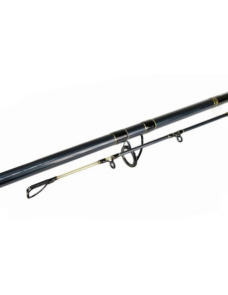 Lanseta Formax Tactic Cat, 2.70m, 100-300gr, 2buc Lanseta Formax Tactic Cat, 2.70m, 100-300gr, 2buc