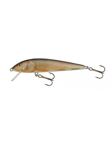 Vobler Salmo Minnow M5f Rr, 5cm, 3g