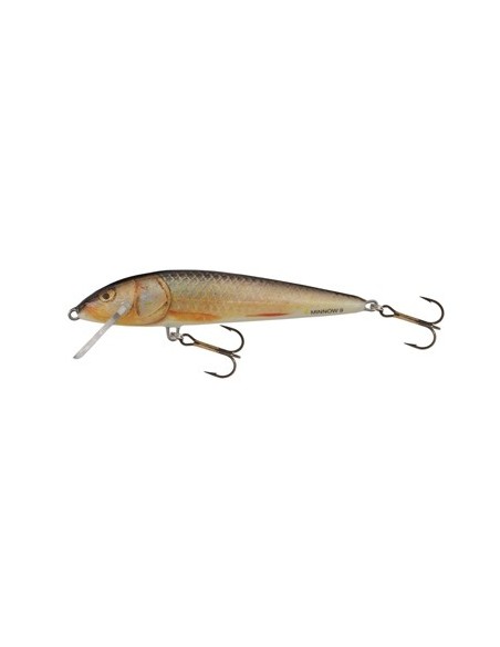 Vobler Salmo Minnow M5f Rr, 5cm, 3g Vobler Salmo Minnow M5f Rr, 5cm, 3g