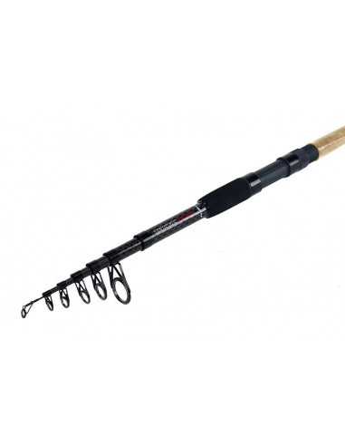 Lanseta Formax Tactic Tele, 3.00m, 40-80g