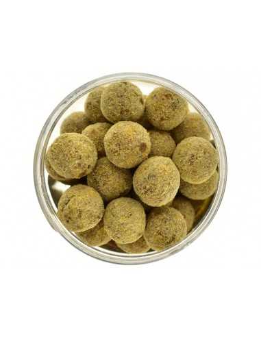 Boilies de carlig special intarit Select Baits, Nutty Scopex