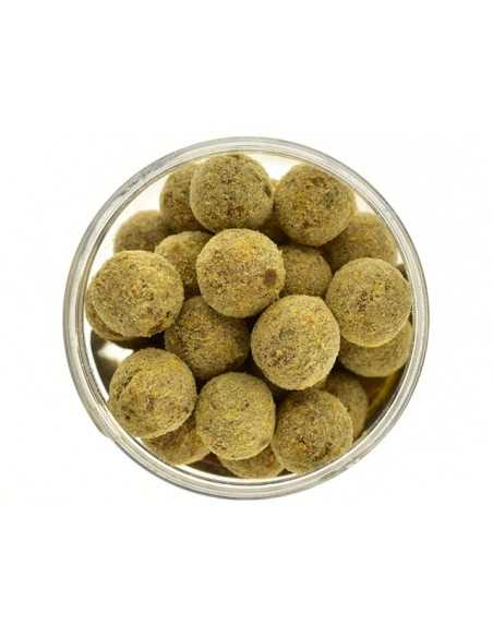 Boilies de carlig special intarit Select Baits, Nutty Scopex Boilies de carlig special intarit Select Baits, Nutty Scopex