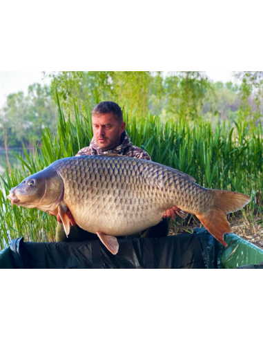Pasta de Boilies Select Baits, Nutty Scopex, 400gr