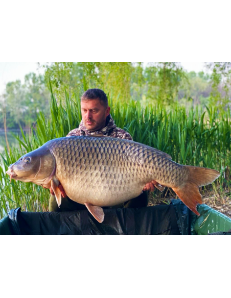 Pasta de Boilies Select Baits, Nutty Scopex, 400gr Pasta de Boilies Select Baits, Nutty Scopex, 400gr