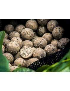 Boilies Select Baits, Nutty Scopex, 800gr 2