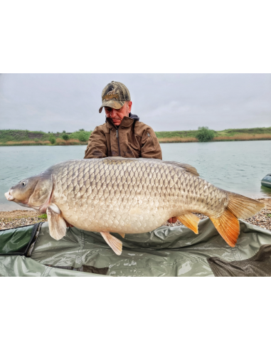 Boilies Select Baits, Nutty Scopex, 5kg