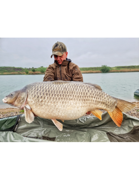 Boilies Select Baits, Nutty Scopex, 5kg Boilies Select Baits, Nutty Scopex, 5kg
