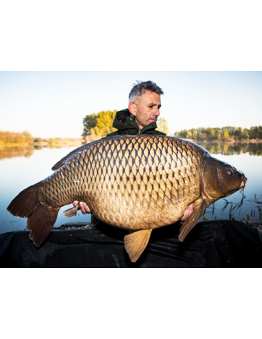 Boilies Select Baits, Crab & Krill, Fierte, 1kg