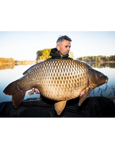 Boilies Select Baits, Crab & Krill, Fierte, 1kg Boilies Select Baits, Crab & Krill, Fierte, 1kg