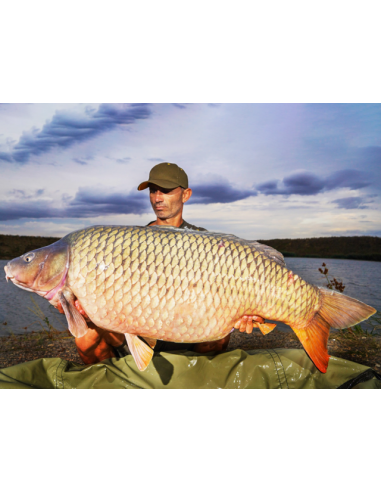 Boilies Select Baits, Mussel & Belachan, Fierte, 1kg