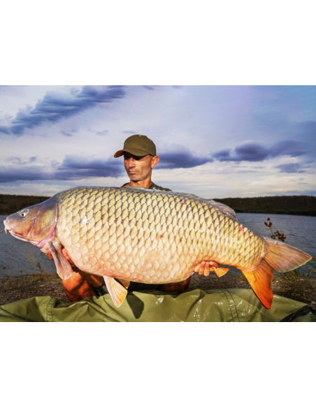 Boilies Select Baits, Mussel & Belachan, Fierte, 1kg Boilies Select Baits, Mussel & Belachan, Fierte, 1kg