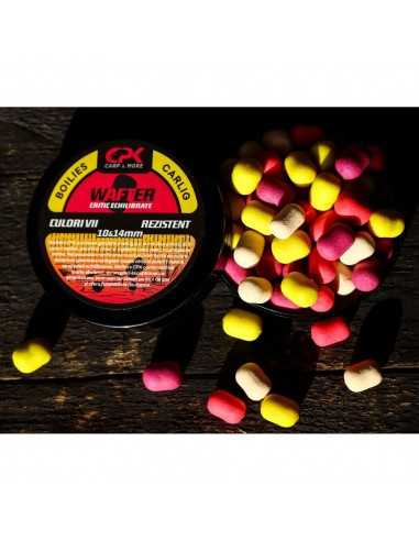 Wafter CPK Next, Squid & Cranberry, 10-14mm