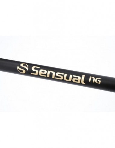 Lanseta Mikado Sensual Next Generation Bolognese, 6m, 25g