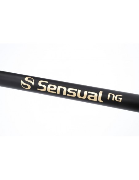 Lanseta Mikado Sensual Next Generation Bolognese, 6m, 25g