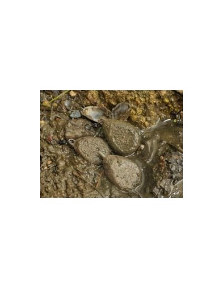 Plumb Korda Camuflaj Texturat Cu Vartej, 84g