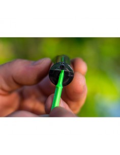 Swinger Korda, Black 2