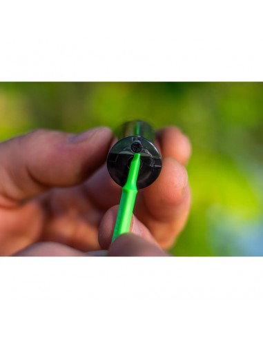 Swinger Korda, Black