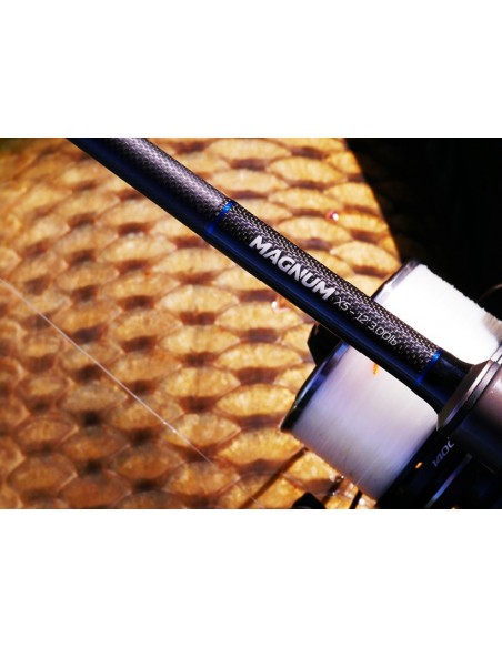 Lanseta Carp Spirit Magnum X5, 3.96m, 3.5lbs, 2buc Lanseta Carp Spirit Magnum X5, 3.96m, 3.5lbs, 2buc