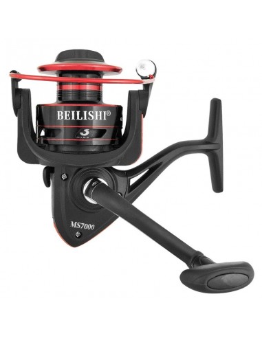 Mulineta Baracuda Beilishi MS