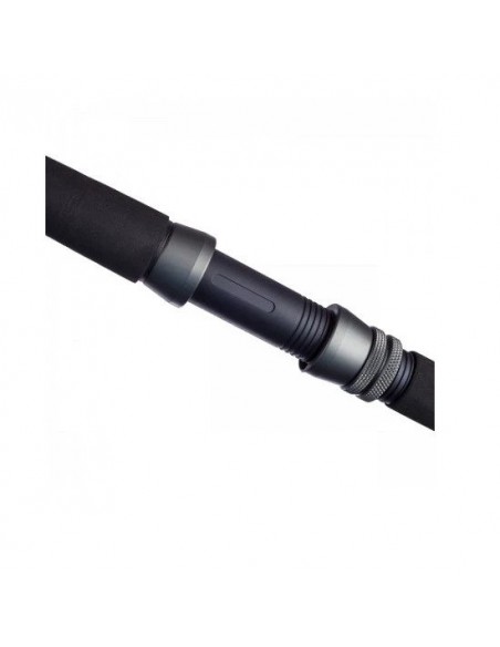 Lanseta FL Catfish Passion, 2.70m, 300-600gr, 2buc Lanseta FL Catfish Passion, 2.70m, 300-600gr, 2buc