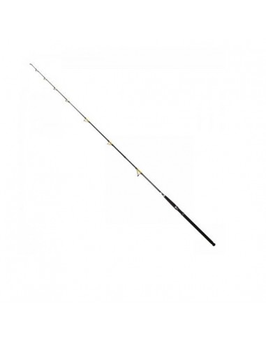 Lanseta FL Catfish Passion, 2.70m, 300-600gr, 2buc