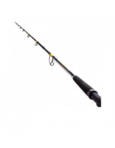 Lanseta FL Catfish Passion, 2.70m, 300-600gr, 2buc