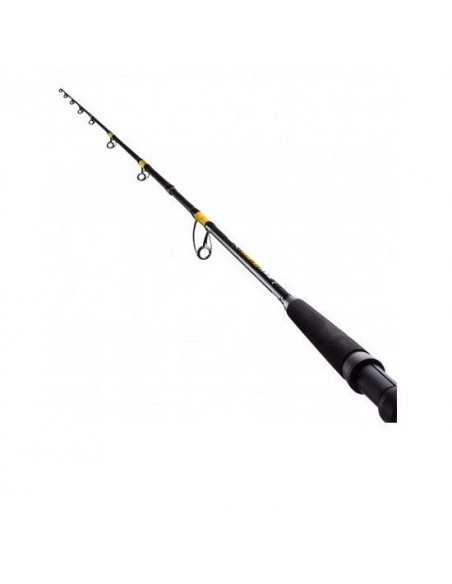 Lanseta FL Catfish Passion, 2.70m, 300-600gr, 2buc Lanseta FL Catfish Passion, 2.70m, 300-600gr, 2buc