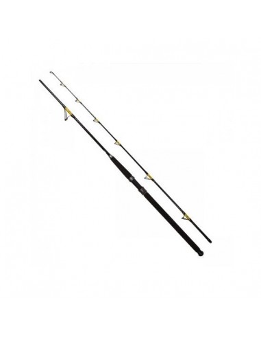 Lanseta FL Catfish Passion, 2.70m, 300-600gr, 2buc