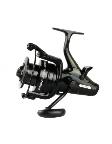 Mulineta Nevis Torrent Carp
