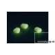 PORUMB ARTIFICIAL MIVARDI DIN SILICON FLUORESCENT 15 BUC/PLIC PORUMB ARTIFICIAL MIVARDI DIN SILICON FLUORESCENT 15 BUC/PLIC