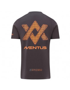 Tricou Guru Aventus Tee Charcoal 2