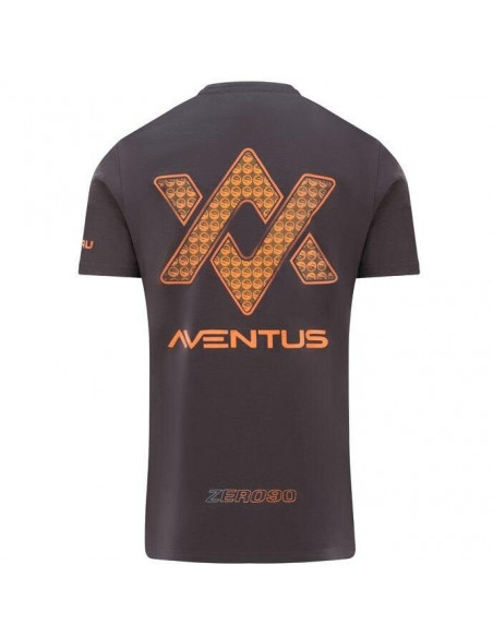 Tricou Guru Aventus Tee Charcoal