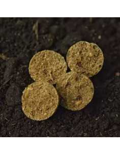 Boilies WLC Carp Eco Boilies, Tigernuts, 1kg 2