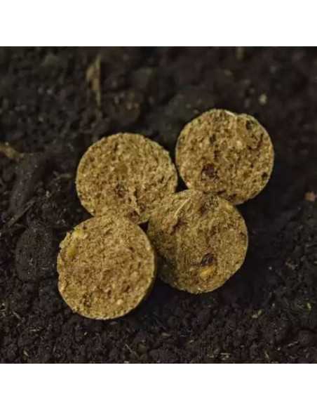Boilies WLC Carp Eco Boilies, Tigernuts, 1kg Boilies WLC Carp Eco Boilies, Tigernuts, 1kg